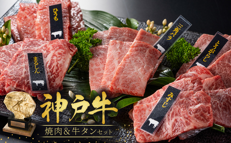 【兵庫県加西市】焼肉セット 3種 バラ モモ 牛タン 計500g 神戸牛 焼き肉 牛肉 和牛 焼肉 キャンプ BBQ アウトドア バーベキュー 黒毛和牛 お肉 冷凍  小分け 神戸ビーフ