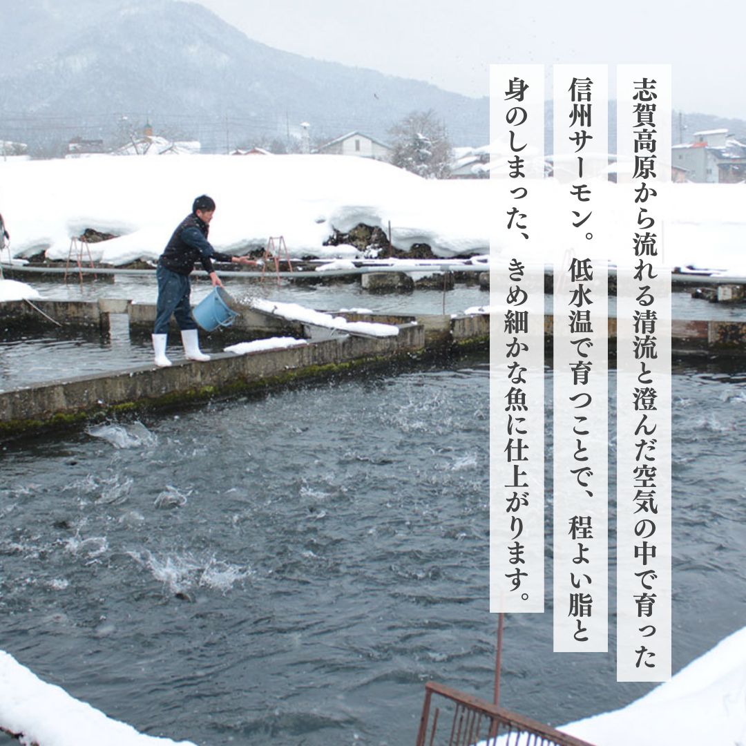 トロリとろける信州サーモン350g～400g（虹鱒×ブラウントラウト）と虹鱒イクラ醤油漬け150g 魚貝類 簡単調理 海鮮丼 程よい脂 生食用 刺身 魚卵 魚介セット 