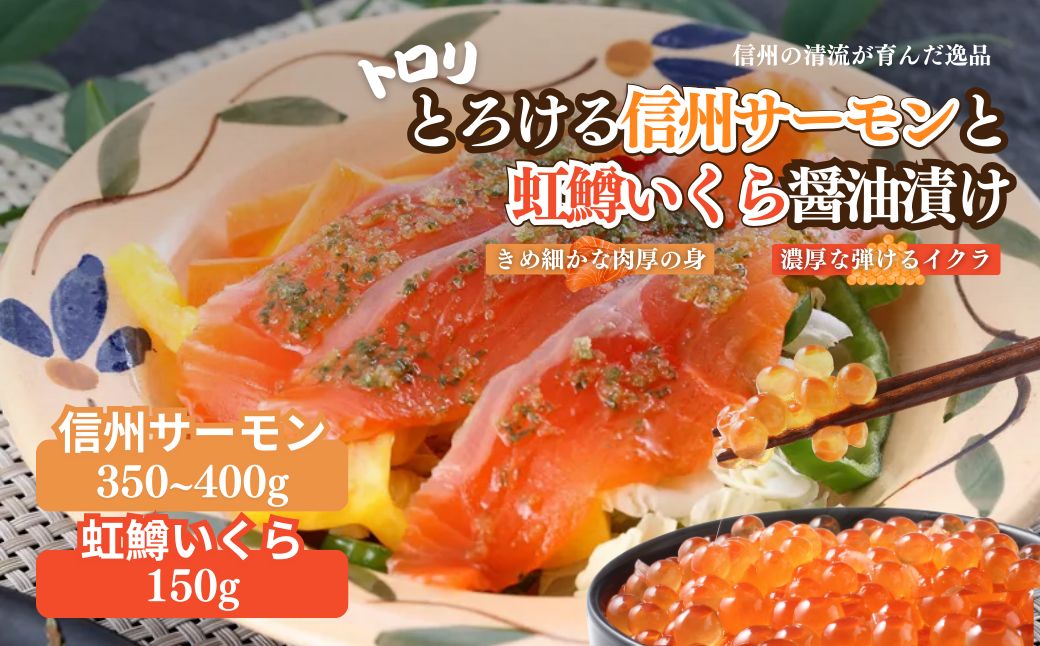 トロリとろける信州サーモン350g～400g（虹鱒×ブラウントラウト）と虹鱒イクラ醤油漬け150g 魚貝類 簡単調理 海鮮丼 程よい脂 生食用 刺身 魚卵 魚介セット 