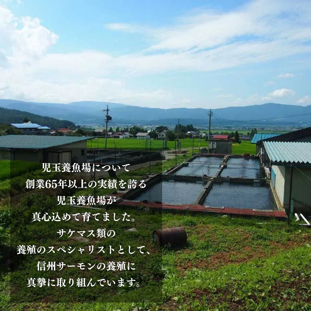 トロリとろける信州サーモン350g～400g（虹鱒×ブラウントラウト）と虹鱒イクラ醤油漬け150g 魚貝類 簡単調理 海鮮丼 程よい脂 生食用 刺身 魚卵 魚介セット 