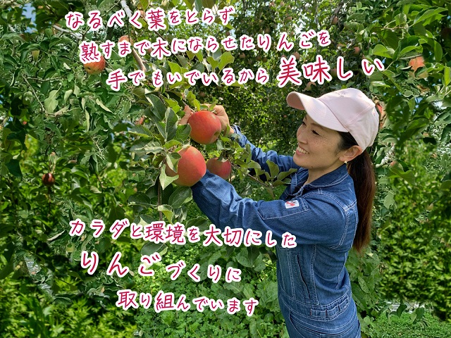 青森県鰺ヶ沢町産りんご megumi farmのぴんこ【訳あり 超小玉