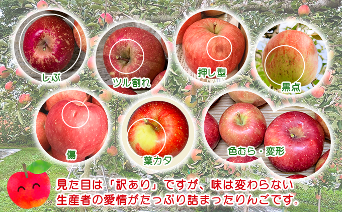 ひまりんごページ 青森県鰺ヶ沢町産りんご megumi farmのぴんこ【訳あり 超小玉
