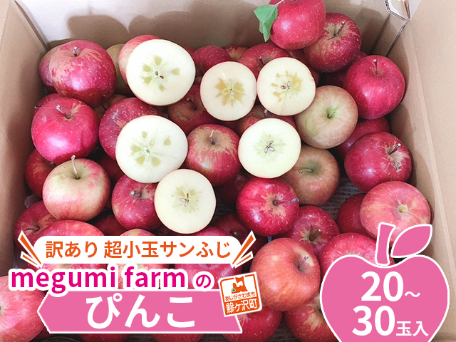 青森県鰺ヶ沢町産りんご megumi farmのぴんこ【訳あり 超小玉