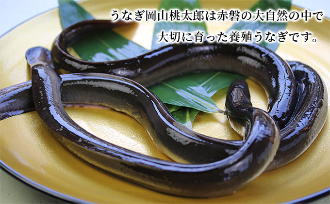 味心逆瀬川 うなぎ 料理 お食事券 (10,000円分) 日本料理 チケット 観光 お出かけ 旅行 和食 ご飯屋さん ブランドうなぎ うなぎ岡山桃太郎 日本うなぎ 