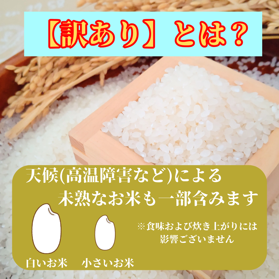 佐賀県みやき町のふるさと納税 CID13_【がばい！U米(うまい)】≪無洗米≫お徳用５ｋｇ！ （５ｋｇ×１袋）　家庭用　生活応援【訳あり】 おすすめ　人気ブランド　特A銘柄も含む　５ｋｇ以上