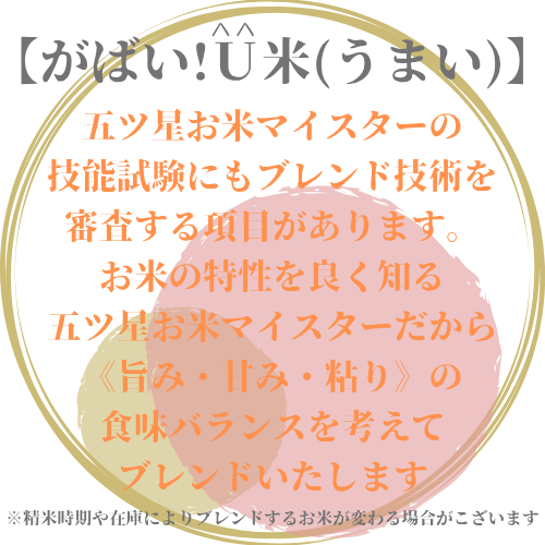 佐賀県みやき町のふるさと納税 CID13_【がばい！U米(うまい)】≪無洗米≫お徳用５ｋｇ！ （５ｋｇ×１袋）　家庭用　生活応援【訳あり】 おすすめ　人気ブランド　特A銘柄も含む　５ｋｇ以上