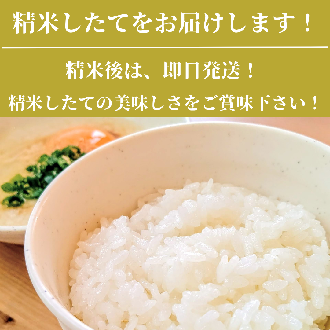 佐賀県みやき町のふるさと納税 CID13_【がばい！U米(うまい)】≪無洗米≫お徳用５ｋｇ！ （５ｋｇ×１袋）　家庭用　生活応援【訳あり】 おすすめ　人気ブランド　特A銘柄も含む　５ｋｇ以上