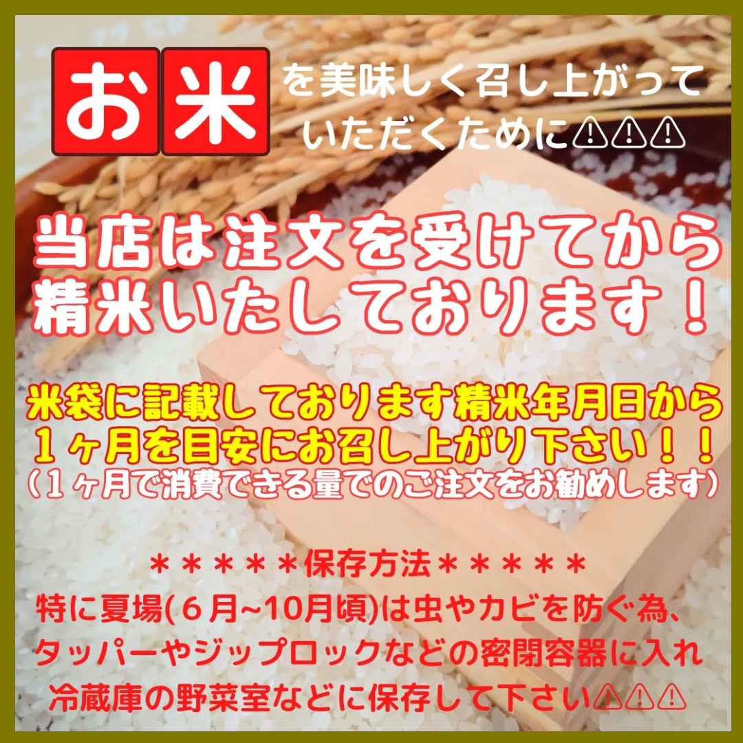佐賀県みやき町のふるさと納税 CID13_【がばい！U米(うまい)】≪無洗米≫お徳用５ｋｇ！ （５ｋｇ×１袋）　家庭用　生活応援【訳あり】 おすすめ　人気ブランド　特A銘柄も含む　５ｋｇ以上