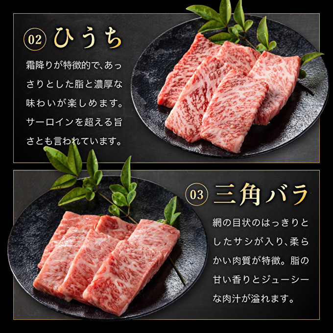 兵庫県加西市のふるさと納税 特別寄附額 神戸牛 希少部位 焼肉セット 5種 400g セット ミスジ ヒウチ 三角バラ トウガラシ マルシン 食べ比べセット 神戸ビーフ 和牛 ブランド牛 牛肉 肉 食べ比べ 焼肉 プレゼント 改定前