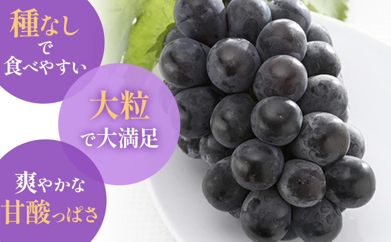 【2026年先行予約】 ぶどう 岡山県産 ニューピオーネ ( 種無し )約4kg(6～10房)【約2kg(3～5房)×2箱】 《2026年8月下旬-9月中旬頃出荷》 葡萄 ブドウ フルーツ 果物 スイーツ 数量限定 期間限定 岡山 里庄町 