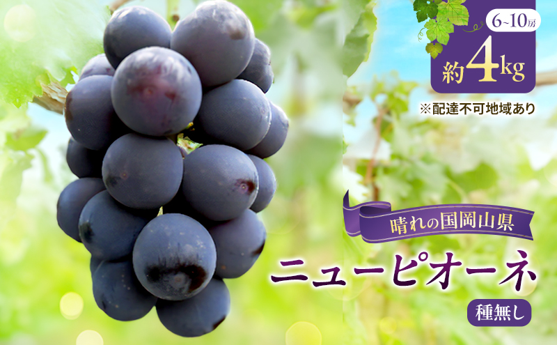 【岡山県里庄町】【2026年先行予約】 ぶどう 岡山県産 ニューピオーネ ( 種無し )約4kg(6〜10房)【約2kg(3〜5房)×2箱】 《2026年8月下旬-9月中旬頃出荷》 葡萄 ブドウ フルーツ 果物 スイーツ 数量限定 期間限定 岡山 里庄町