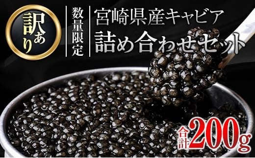 宮崎県日南市のふるさと納税 訳あり 数量限定 5つ星ホテル採用 宮崎県産 キャビア 詰め合わせ セット 合計200g 魚卵 魚介 魚貝 国産 熟成 新鮮 高級 希少 食品 三大珍味 黒いダイヤ おすすめ 水産物 おつまみ ご褒美 お祝い 記念日 パーティー 日南市 送料無料_XF1-25