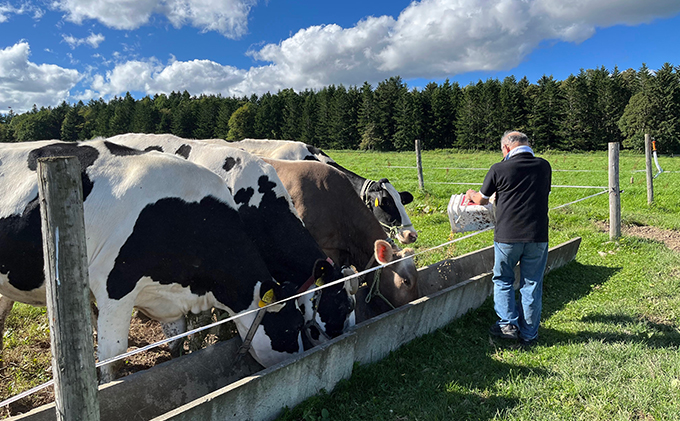 【卵不使用・無添加】ブラウンアイス（100ml）6個セット 北海道 南富良野町 アイス アイスクリーム デザート 無添加 バニラアイス バニラ お菓子 スイーツ ひんやり おやつ 夏 なめらか 濃厚 コク クリーミー しっかりした甘さ 