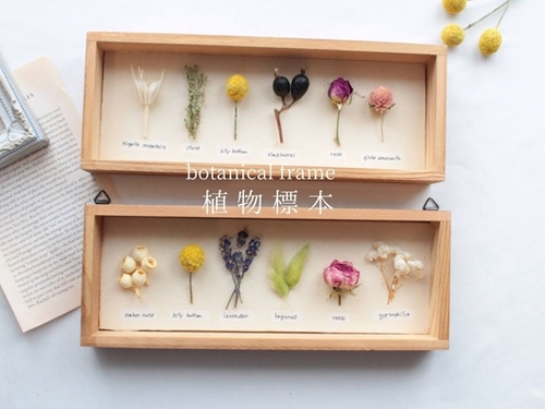 植物標本 ボタニカルフレーム フローリスト お任せ♪ ／ HANARA