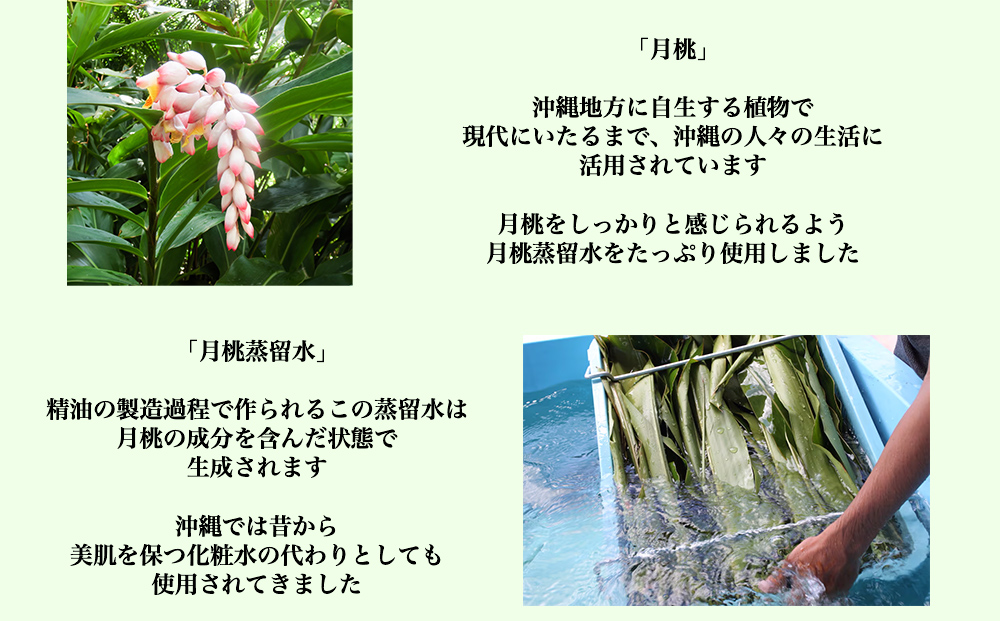 乾燥を防ぐ月光オールインワンローション200ml（無香料）×3本セット　もっちり　保湿　肌ケア　月桃　低刺激　乾燥肌　敏感肌