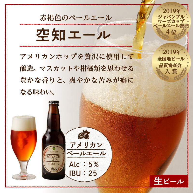 北海道滝川市のふるさと納税 大雪地ビール 滝川クラフトビール 3種 飲み比べ 各2本 計6本｜北海道 滝川市 ビール クラフトビール セット 詰め合わせ 詰合せ 地ビール