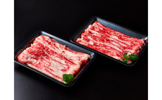 【訳あり】近江牛 A5 切り落とし スライス 食べ比べ ブリスケ＆バラ 1kg【FO01W】