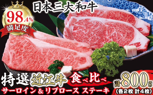 yꌧߍ]szɏ I ߍ]T[Cu[XXe[LHה׃Zbg 4@v800gy FO03Wz