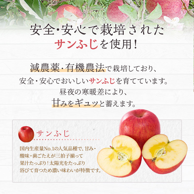 山ノ内町産サンふじ使用！りんごジュース 1000cc×3本セット 果汁飲料 アップルジュース フルーツジュース ソフトドリンク 山ノ内町産りんご サンふじ100％ 