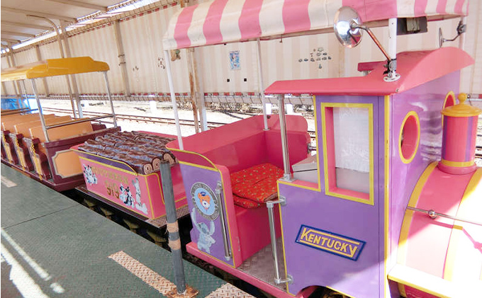 小諸市児童遊園地 乗り物券6枚綴り チケット 入場券 優待券 大型遊具 使用期限なし 懐古園 公園 動物園 遊ぶ 