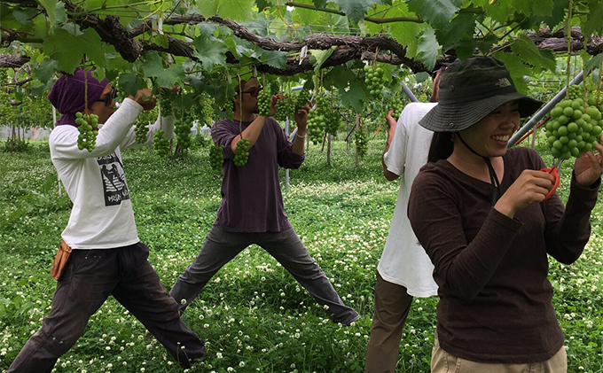 【完全無添加】【安心安全】【こだわりの搾汁製法】種あり巨峰／種なし巨峰／りんごのジュース 3本セット【栽培期間中 除草剤・ネオニコチノイド系農薬・化学肥料不使用】 果実飲料 フルーツジュース 飲み物 飲み比べ 