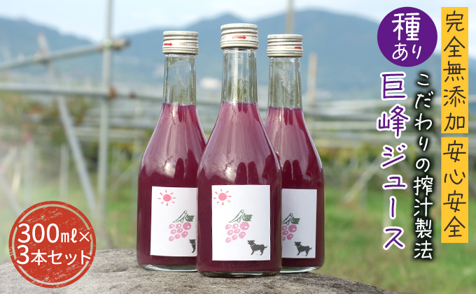 【完全無添加】【安心安全】【こだわりの搾汁製法】種あり巨峰ジュース300ml×3本セット【栽培期間中 除草剤・ネオニコチノイド系農薬・化学肥料不使用】 果実飲料 フルーツジュース 飲み物 グレープジュース