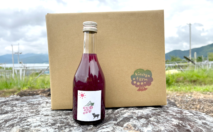 【完全無添加】【安心安全】【こだわりの搾汁製法】種あり巨峰ジュース300ml×3本セット【栽培期間中 除草剤・ネオニコチノイド系農薬・化学肥料不使用】 果実飲料 フルーツジュース 飲み物 グレープジュース