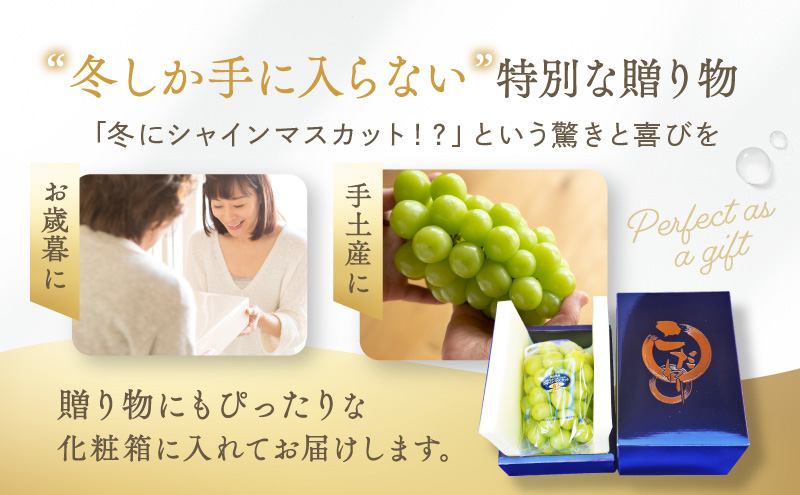 【2026年先行予約】 ぶどう 冬の贅沢 シャインマスカット 2房(1.4kg以上：1房700g以上×2箱）【11月20日から12月12日の期間に発送】 葡萄 ブドウ 岡山県産 フルーツ 果物 数量限定 期間限定 岡山 里庄町 