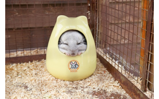 白鳥動物園（一家族5名様まで）チケット 入場券 優待券 