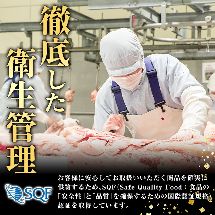 鹿児島県阿久根市のふるさと納税 黒毛和牛カタ(ウデ)スライス(約600g)国産 牛肉 赤身 カタ肉 肩肉 ウデ肉 スライス肉 ウデスライス 薄切り しゃくし すき焼き すきやき しゃぶしゃぶ おかず 個包装 冷凍配送【スターゼン】akn042-02