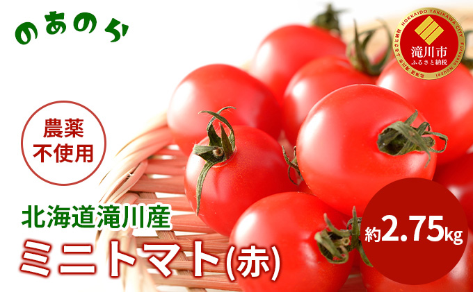 【2026年産先行受付】【栽培期間中 農薬不使用 】 北海道 滝川市 産 ミニトマト (赤) 約2.75kg （2026年7月中旬発送） トマト 野菜 やさい みにとまと