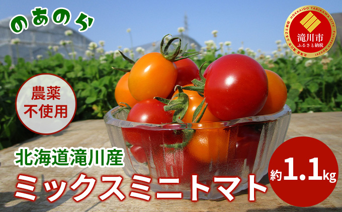 ykCszy2026NYstzy͔|Ԓ _sgp z kC s Y ~bNX ~jg}g 1.1kg i2026N7{j g}g  ₳ ݂ɂƂ܂