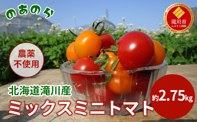 ykCszy2026NYstzy͔|Ԓ _sgp z kC s Y ~bNX ~jg}g 2.75kg i2026N7{j g}g  ₳ ݂ɂƂ܂