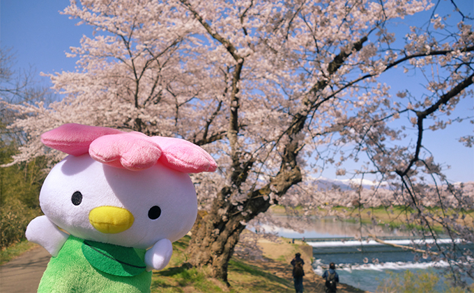 大河原町観光PRキャラクター「さくらっきー」ぬいぐるみ20cm 雑貨 観光地 小物 