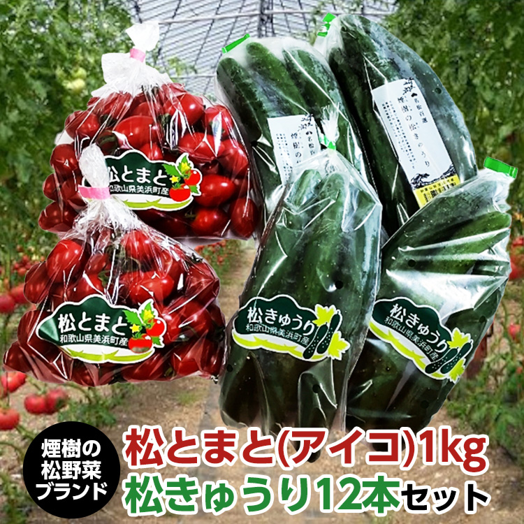 【煙樹の松野菜ブランド】
松とまと（アイコ）松きゅうりセット 2025年11月中旬～2026年6月上旬頃に順次発送予定