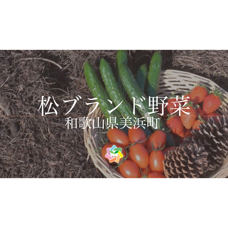 【煙樹の松野菜ブランド】
松とまと（アイコ）松きゅうりセット 2025年11月中旬～2026年6月上旬頃に順次発送予定