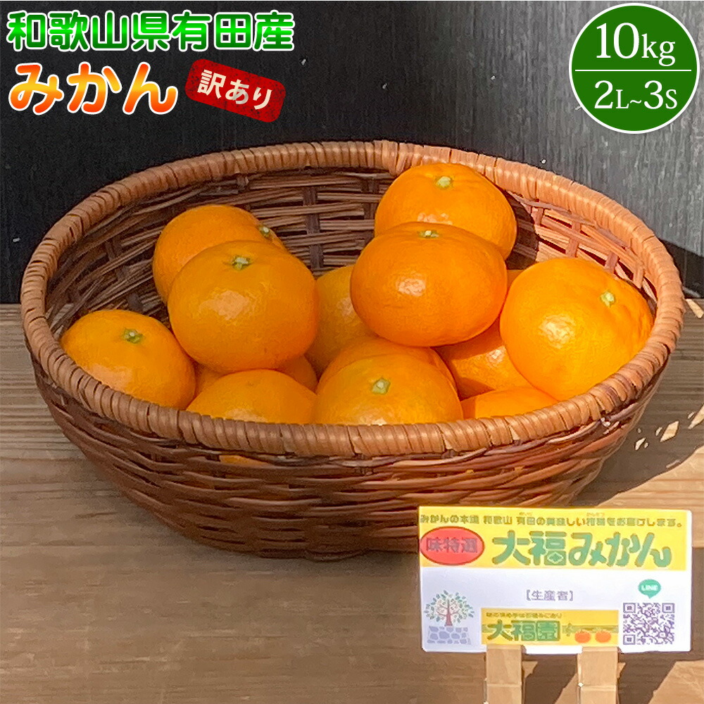 【和歌山県有田郡湯浅町】BT6008n_和歌山県有田産 みかん 10kg 2L〜3Sサイズ(おまかせ)【訳あり・家庭用】