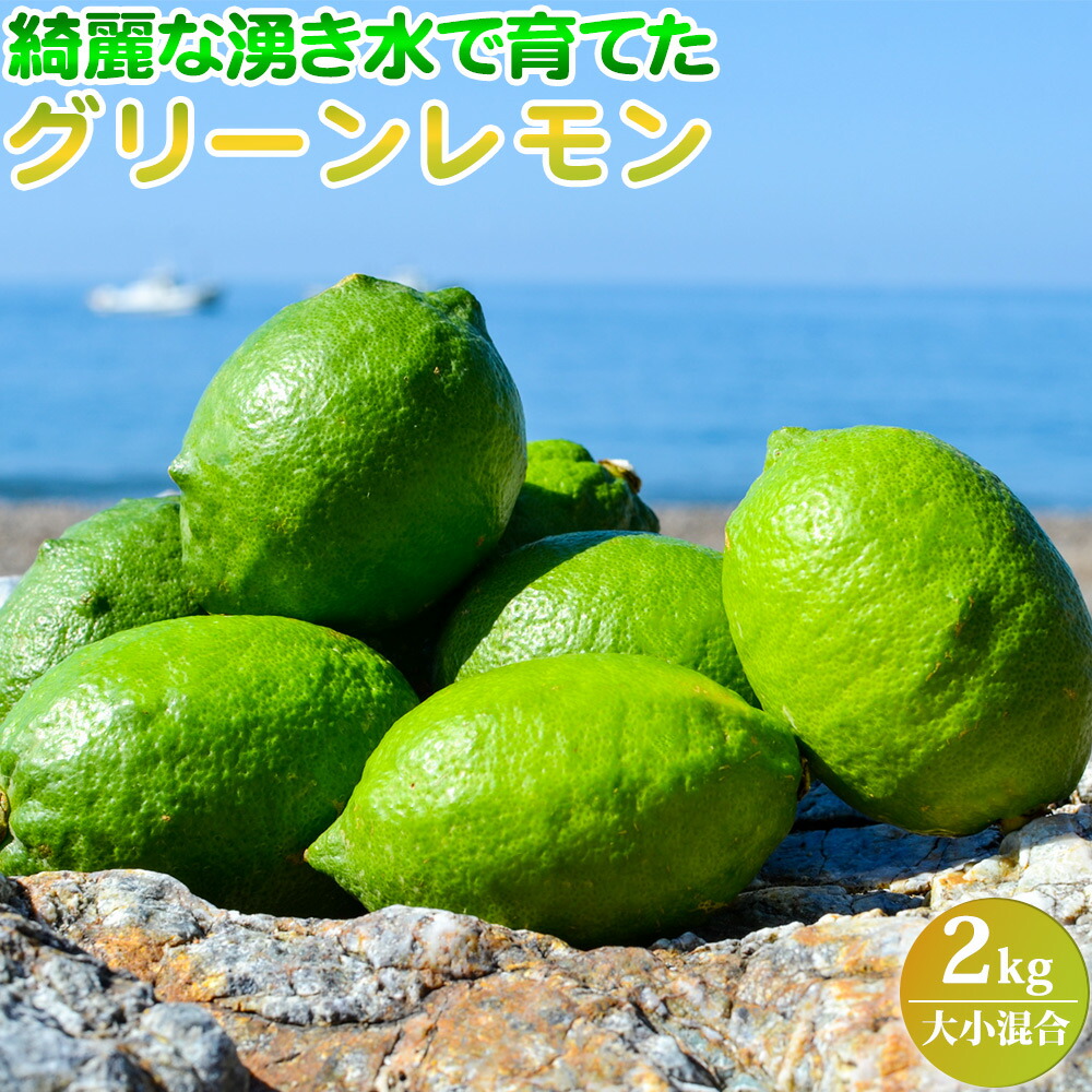 【和歌山県有田郡湯浅町】EA6042n_綺麗な湧き水で育てた グリーンレモン 2kg (大小混合)