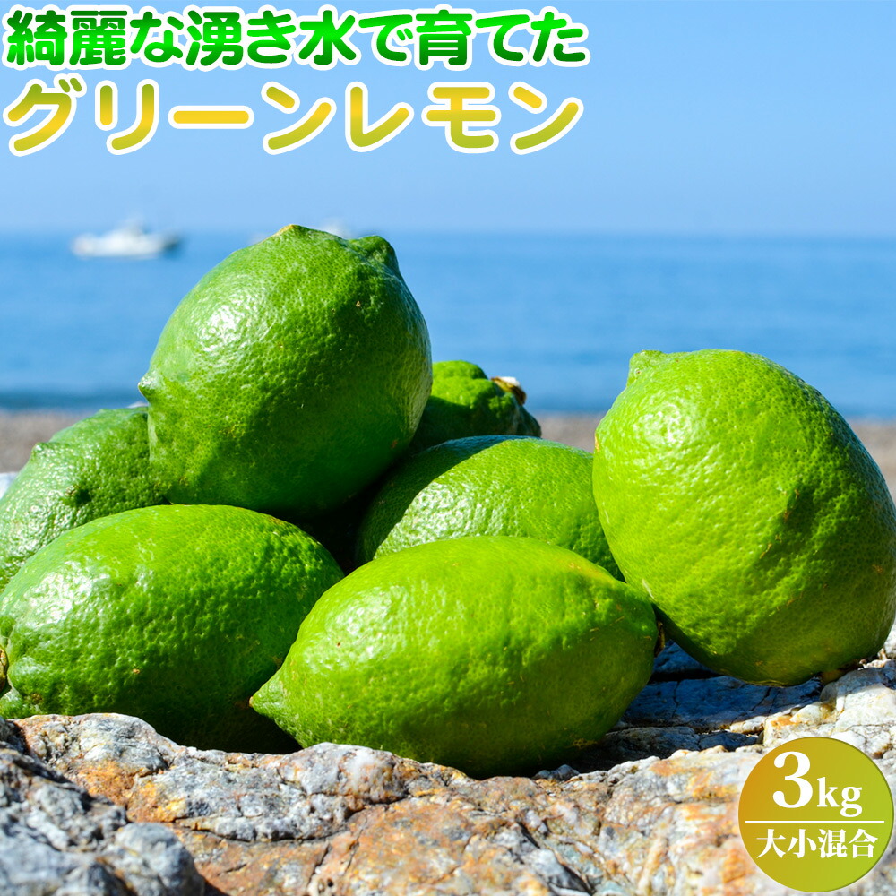 【和歌山県有田郡湯浅町】EA6043n_綺麗な湧き水で育てた グリーンレモン 3kg (大小混合)