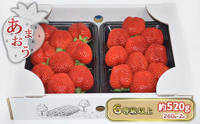 いちご あまおう G以上 約520g（260g×2パック）配送不可 北海道 東北 沖縄 離島 果物 フルーツ 旬のいちご 食後 デザート 農家直送 大粒 