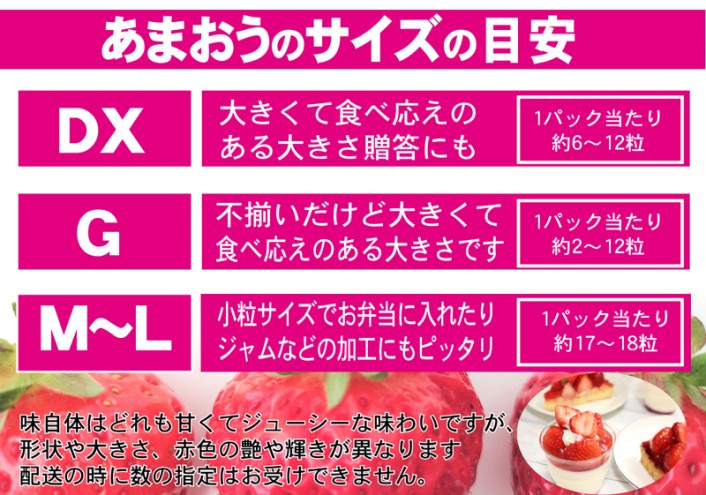 いちご あまおう G以上 約520g（260g×2パック）配送不可 北海道 東北 沖縄 離島 果物 フルーツ 旬のいちご 食後 デザート 農家直送 大粒 