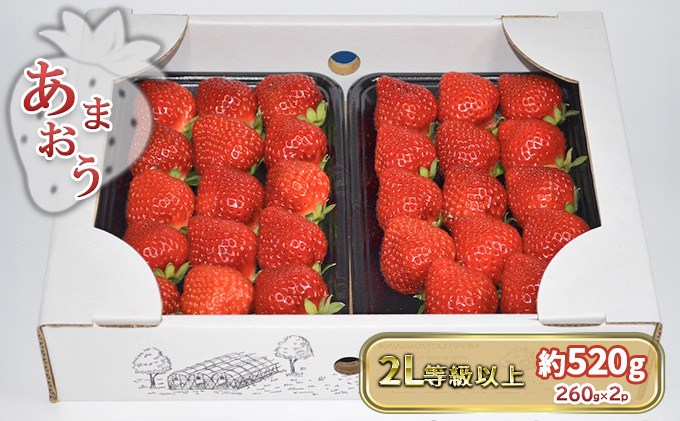 いちご あまおう 2L以上 約520g（260g×2パック）配送不可 北海道 東北 沖縄 離島 