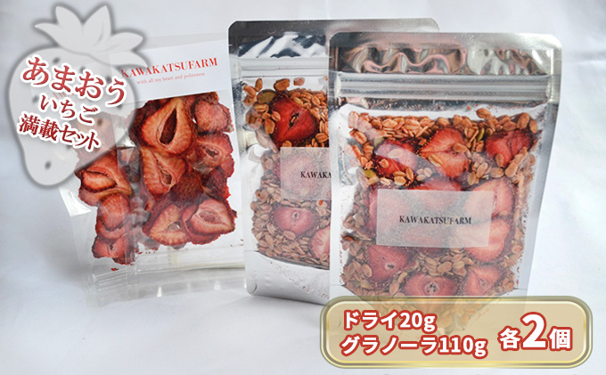 【福岡県朝倉市】ドライフルーツ グラノーラ セット あまおうドライ 20g×2+いちごいちごいちごあまおうグラノーラ 2パック セット 加工食品 砂糖不使用 シリアル 朝食 朝ごはん 小腹 特別栽培