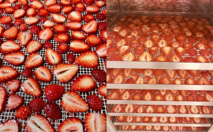 ドライフルーツ グラノーラ セット あまおうドライ 20g×2＋いちごいちごいちごあまおうグラノーラ 2パック セット 加工食品 砂糖不使用 シリアル 朝食 朝ごはん 小腹 特別栽培 