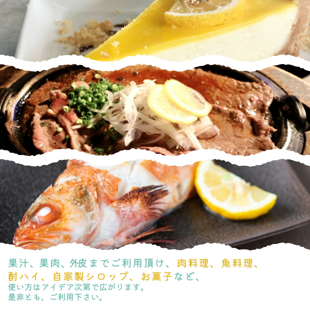 G7068_秀品 紀州有田産レモン 2.5kg