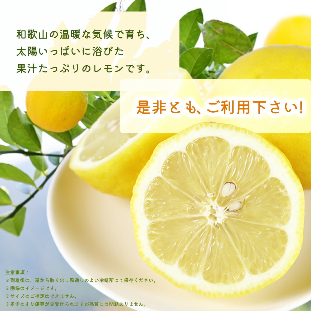 G7068_秀品 紀州有田産レモン 2.5kg