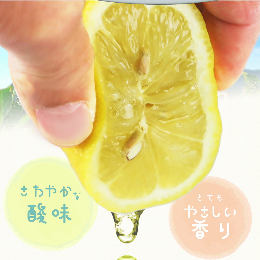 G7069_【ご家庭用 訳あり】紀州有田産レモン 2.5kg