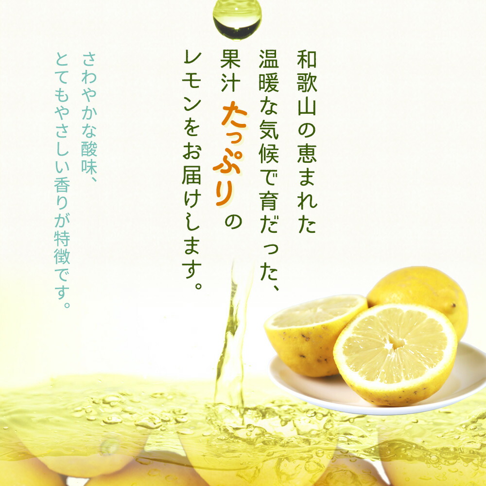 G7069_【ご家庭用 訳あり】紀州有田産レモン 2.5kg