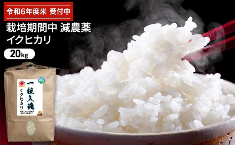 令和6年度群馬県産　低農薬精米 済みクズ米20kg 楽天市場】ミルキークイーン 令和6年産 10kg 20kg 30kg 選別済
