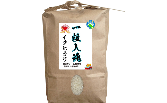 令和6年度群馬県産　低農薬精米 済みクズ米20kg 令和6年度群馬県産 低農薬精米 数多い 済みクズ米20kg - フード